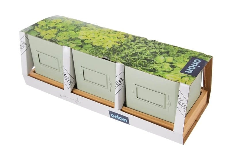Kvetináč kov bylinky GREENISH 11,5x11,5 cm 3 Ks + bambus. podtácok – BauSHOP Stavebniny Široke Kvetináč kov bylinky GREENISH 11,5x11,5 cm 3 Ks + bambus. podtácok BauSHOP Stavebniny Široke Akcia 17741