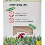 Lepové pásy na kmene 2m BauSHOP Stavebniny Široke Akcia 21874