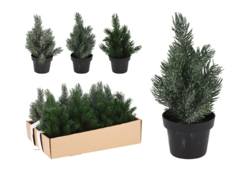 Stromček vianočný v kvetináči 22 cm mix – BauSHOP Stavebniny Široke Stromček vianočný v kvetináči 22 cm mix BauSHOP Stavebniny Široke Akcia 17642