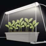 LED GROW pestovateľská lampa na sadenice 15 W, časovač, biela BauSHOP Stavebniny Široke Akcia 29489