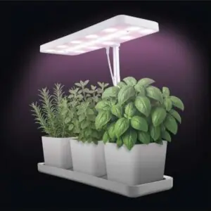 LED GROW pestovateľská lampa 7 W, časovač, stmievateľná lampa, biela BauSHOP Stavebniny Široke Akcia 29491