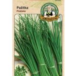Pažítka PRAŽSKÁ 3g Tradičné A! BauSHOP Stavebniny Široke Akcia 30315